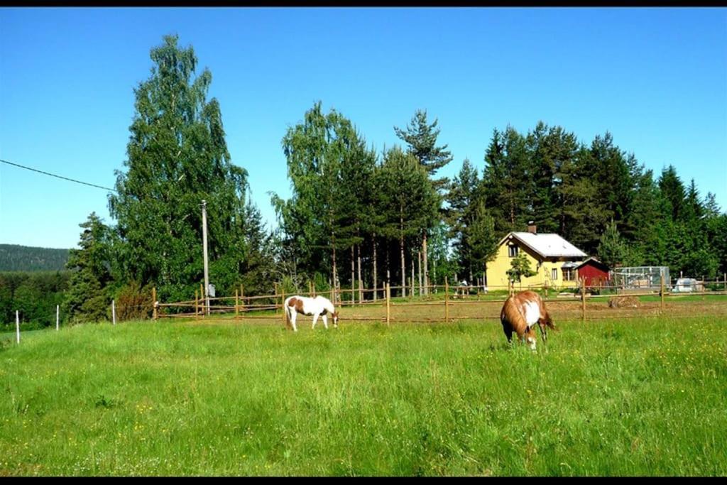 Little Forest House "Our Little Farm" Ekshärad Zewnętrze zdjęcie