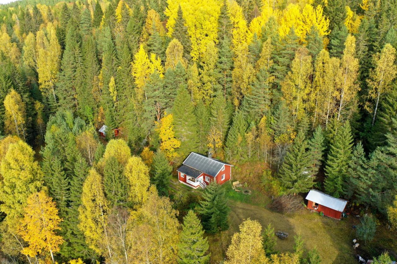 Little Forest House "Our Little Farm" Ekshärad Zewnętrze zdjęcie